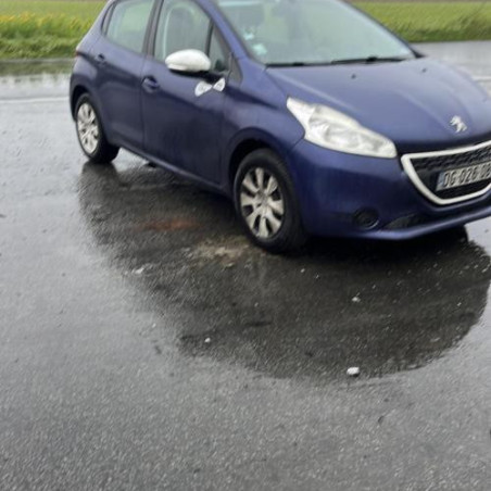 Custode avant gauche (porte) PEUGEOT 208 1