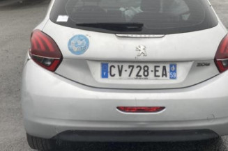 Custode avant gauche (porte) PEUGEOT 208 1