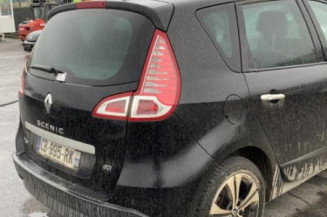 Arret de porte avant gauche RENAULT SCENIC 3