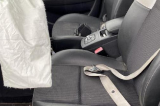 Arret de porte avant gauche RENAULT SCENIC 3