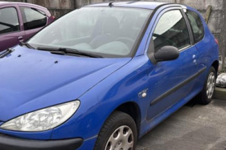 Custode arriere droit PEUGEOT 206 Photo n°1