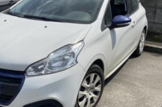 Custode avant gauche (porte) PEUGEOT 208 1