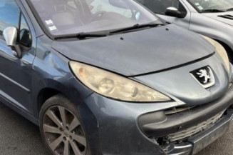 Custode avant gauche (porte) PEUGEOT 207