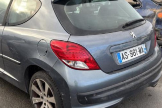 Custode avant gauche (porte) PEUGEOT 207