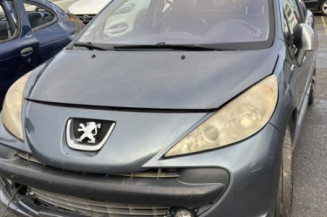 Custode avant gauche (porte) PEUGEOT 207