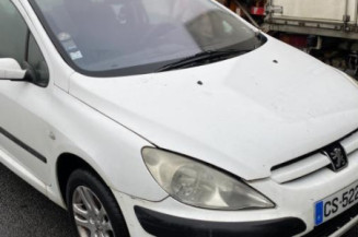 Aile avant gauche PEUGEOT 307