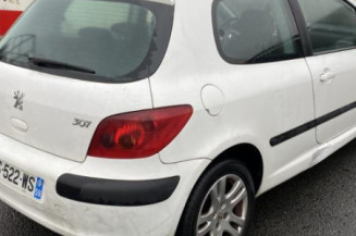 Aile avant gauche PEUGEOT 307