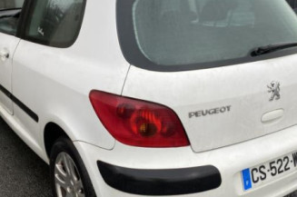 Aile avant gauche PEUGEOT 307