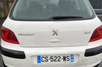 Aile avant gauche PEUGEOT 307