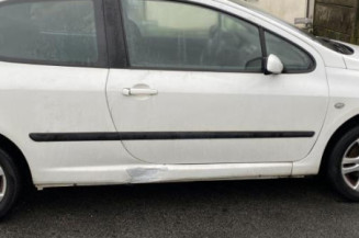 Custode avant gauche (porte) PEUGEOT 307