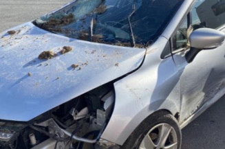 Poignee porte arriere gauche RENAULT CLIO 4