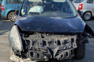 Poignee porte arriere gauche RENAULT SCENIC 3