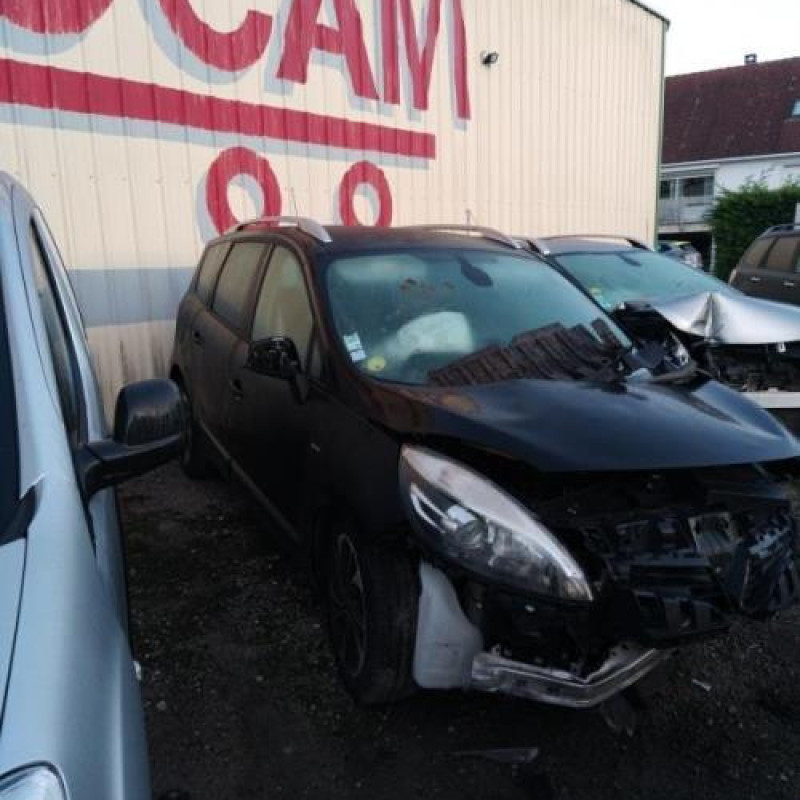 Poignee porte arriere gauche RENAULT SCENIC 3 Photo n°9