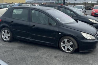 Aile avant gauche PEUGEOT 307