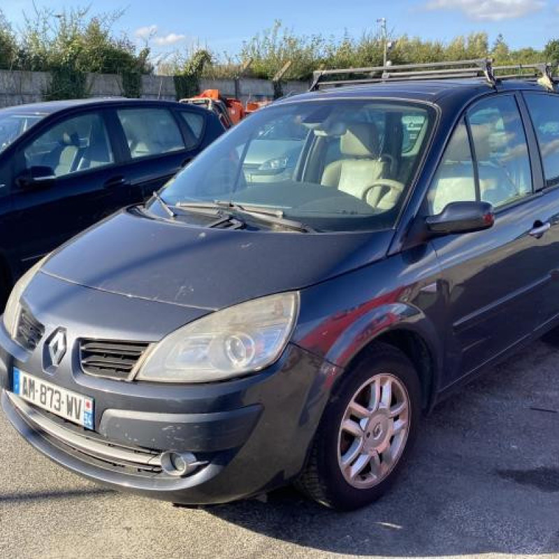 Custode arriere droit RENAULT GRAND SCENIC 2 Photo n°5