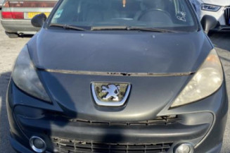 Custode avant gauche (porte) PEUGEOT 207