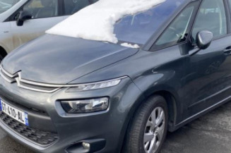 Custode arriere droit CITROEN C4 PICASSO 2