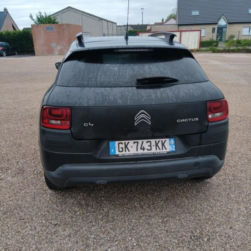 CITROENC4 CACTUS 1.6 BLUE HDI - 8V TURBO Photo n°4