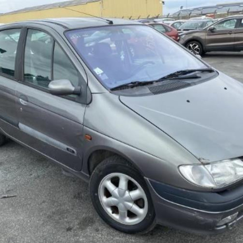 Porte arriere gauche RENAULT SCENIC 1 Photo n°1