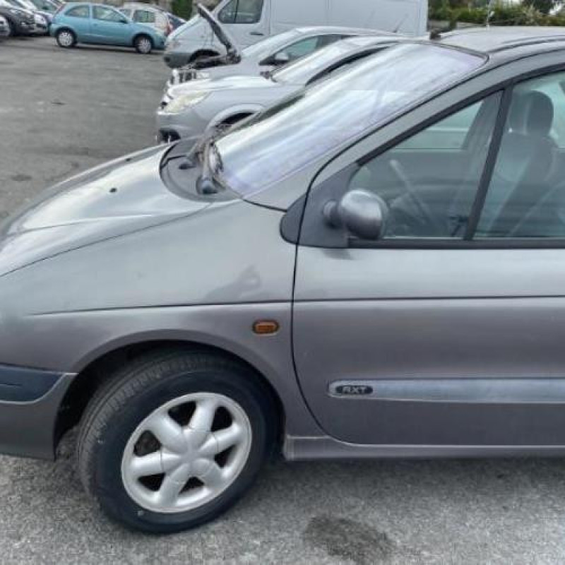 Porte arriere gauche RENAULT SCENIC 1 Photo n°9