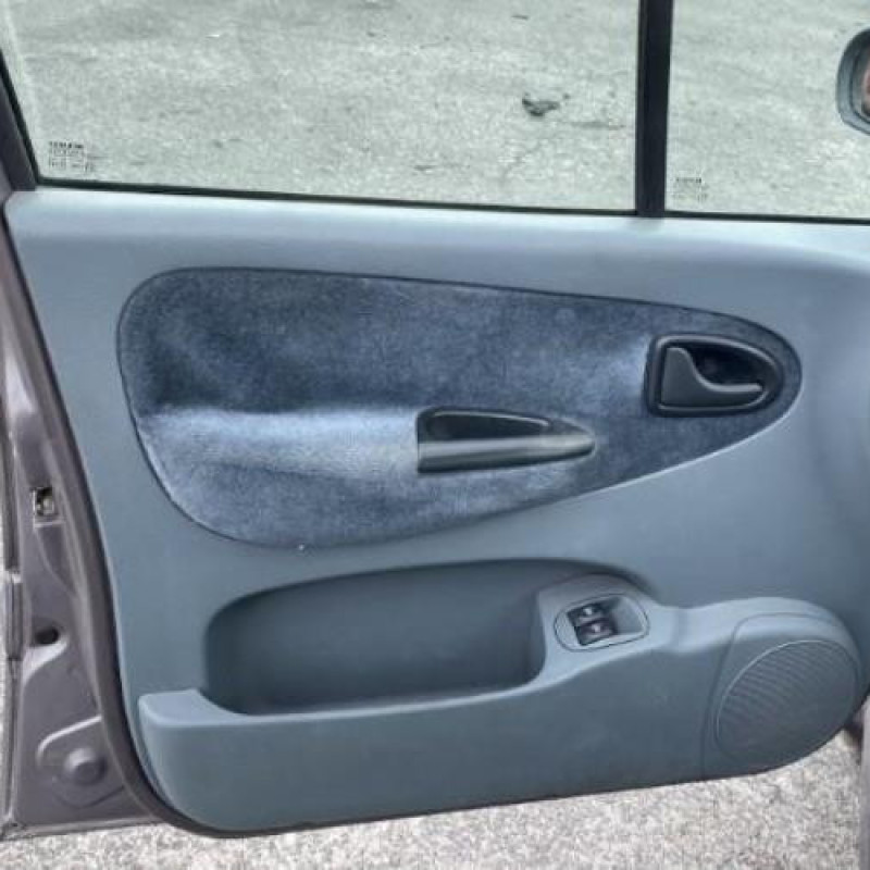 Porte arriere gauche RENAULT SCENIC 1 Photo n°11