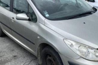 Antenne PEUGEOT 307