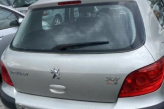 Antenne PEUGEOT 307