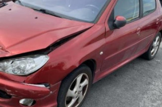 Porte arriere gauche PEUGEOT 206