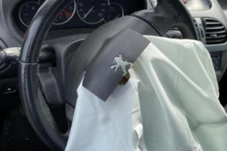 Poignee interieur arriere gauche PEUGEOT 206