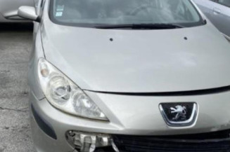 Porte arriere droit PEUGEOT 307