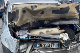 Porte arriere gauche PEUGEOT 604