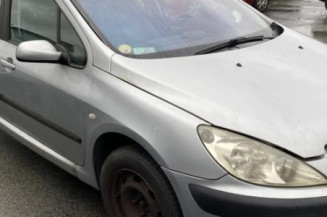 Jante PEUGEOT 307