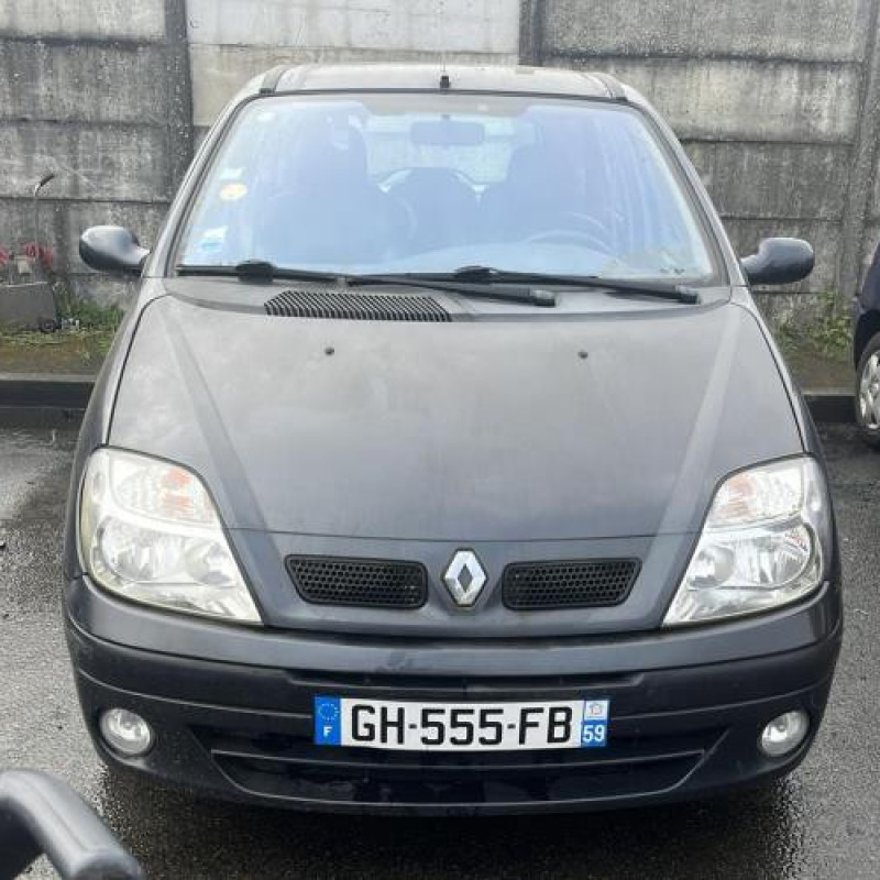 Bouton de warning RENAULT SCENIC 1 Photo n°5