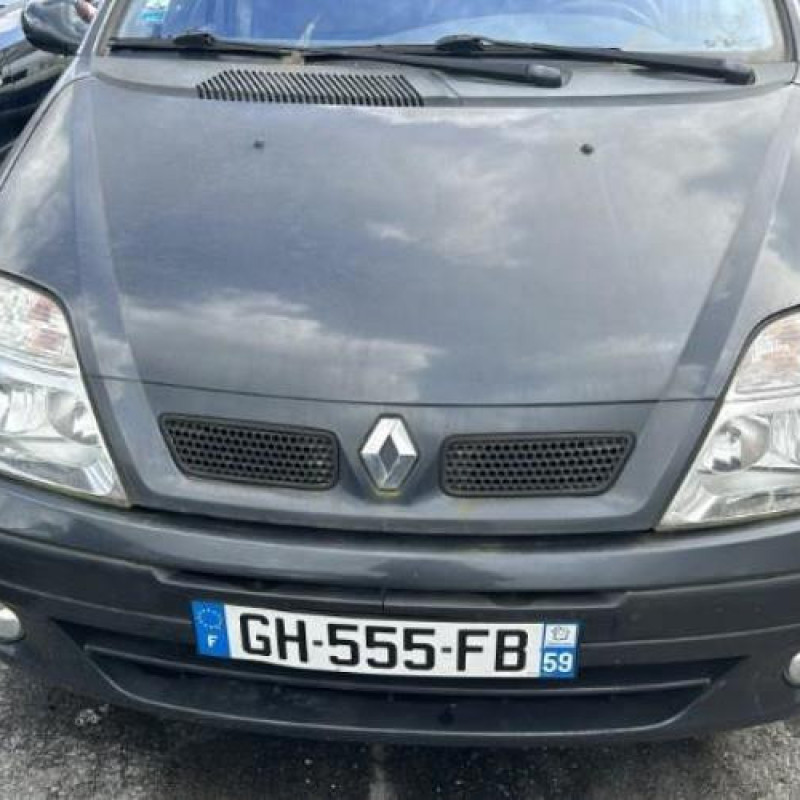 Bouton de warning RENAULT SCENIC 1 Photo n°19