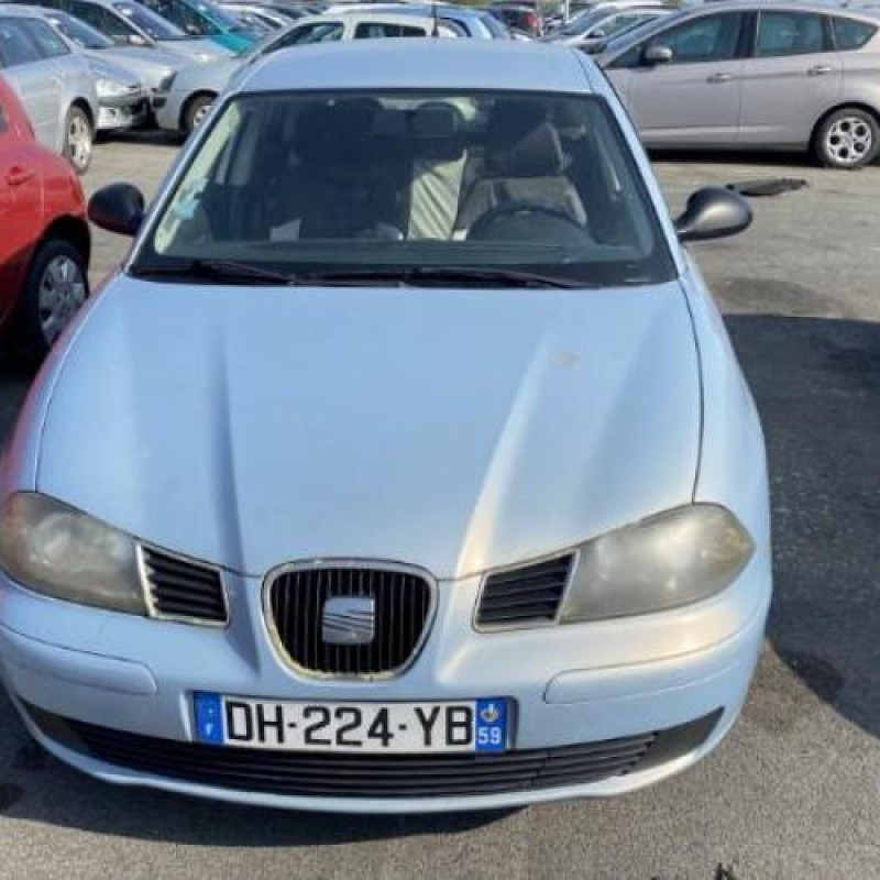 Porte arriere droit SEAT IBIZA 3 Photo n°14