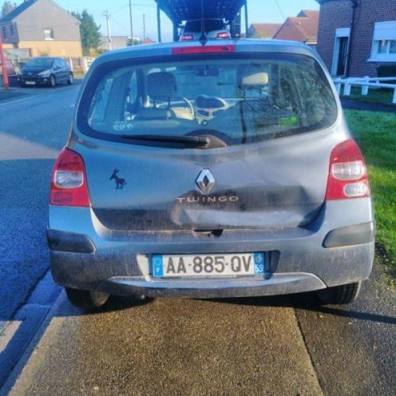 Custode arriere gauche RENAULT TWINGO 2 Photo n°9