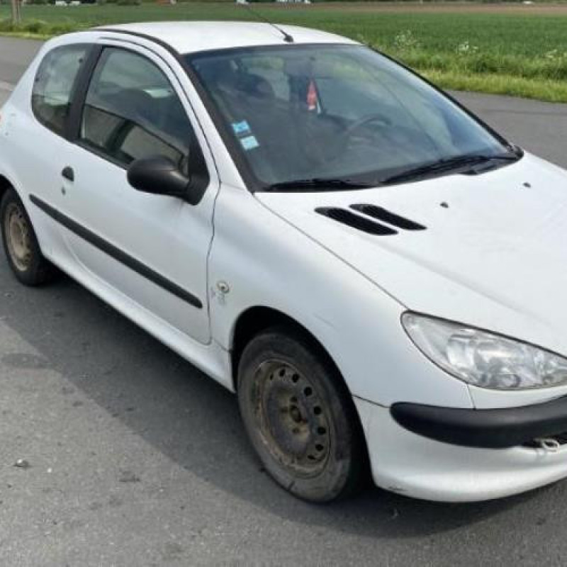 Porte avant droit PEUGEOT 206 Photo n°8