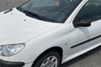 Porte avant droit PEUGEOT 206