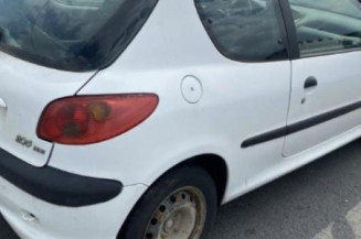 Porte avant droit PEUGEOT 206