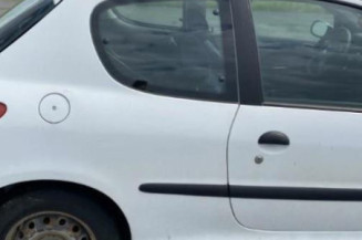 Porte avant droit PEUGEOT 206