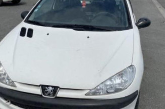 Porte avant droit PEUGEOT 206