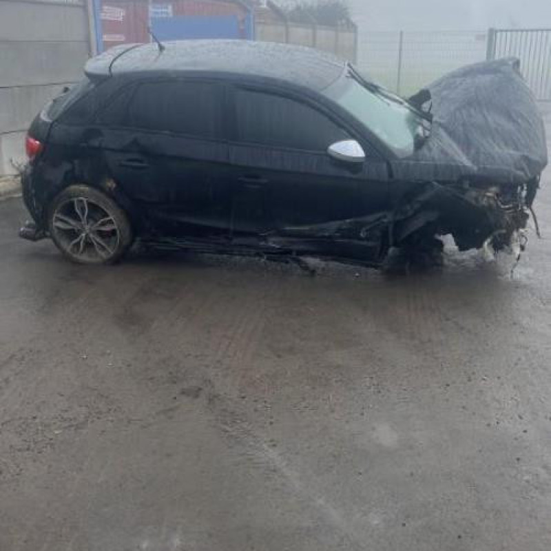 Poignee porte arriere droit AUDI A1 1 Photo n°5