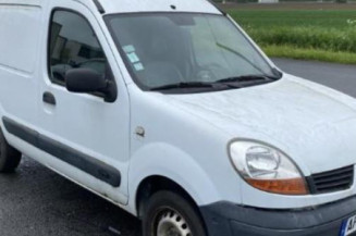 Porte avant gauche RENAULT KANGOO 1