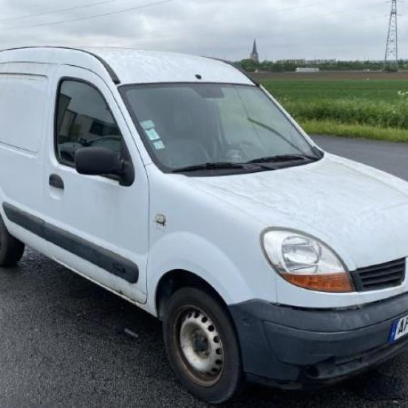 Porte avant gauche RENAULT KANGOO 1 Photo n°9