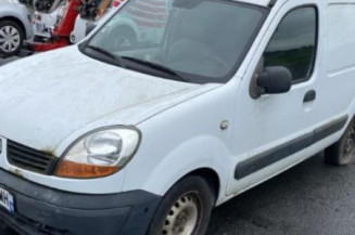 Porte avant gauche RENAULT KANGOO 1