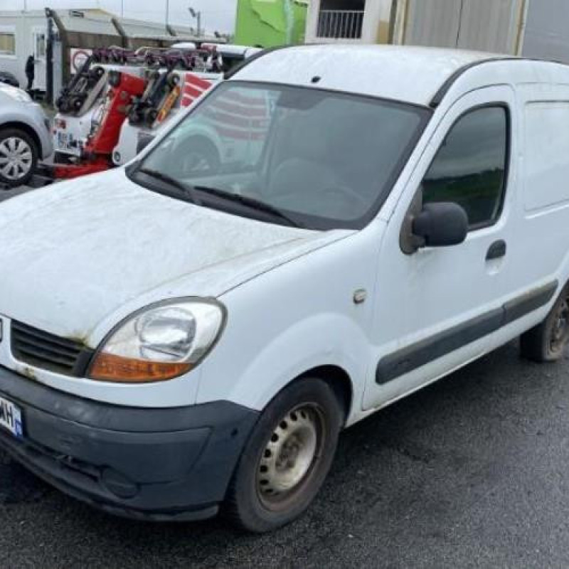 Porte avant gauche RENAULT KANGOO 1 Photo n°10