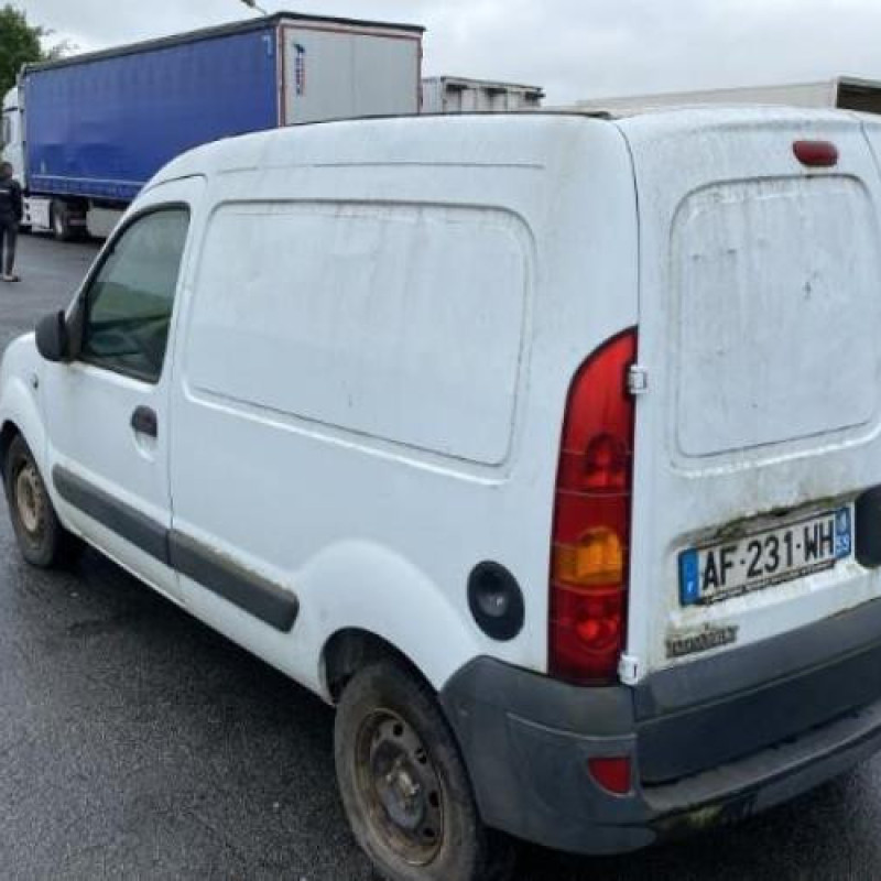 Porte avant gauche RENAULT KANGOO 1 Photo n°11