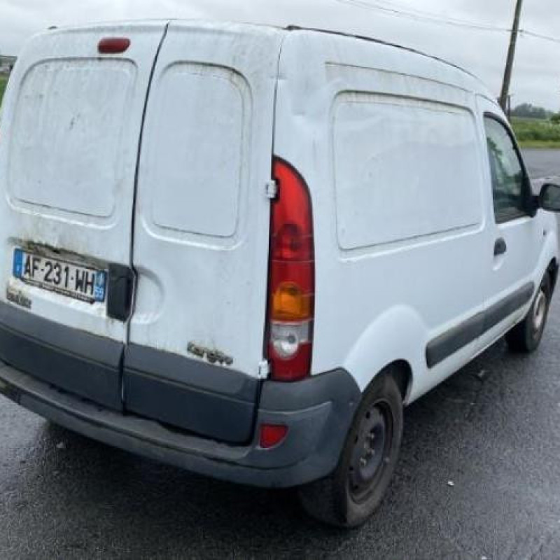 Porte avant gauche RENAULT KANGOO 1 Photo n°12