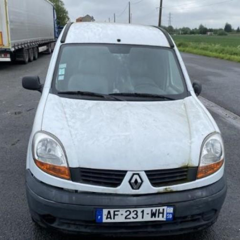 Porte avant gauche RENAULT KANGOO 1 Photo n°15