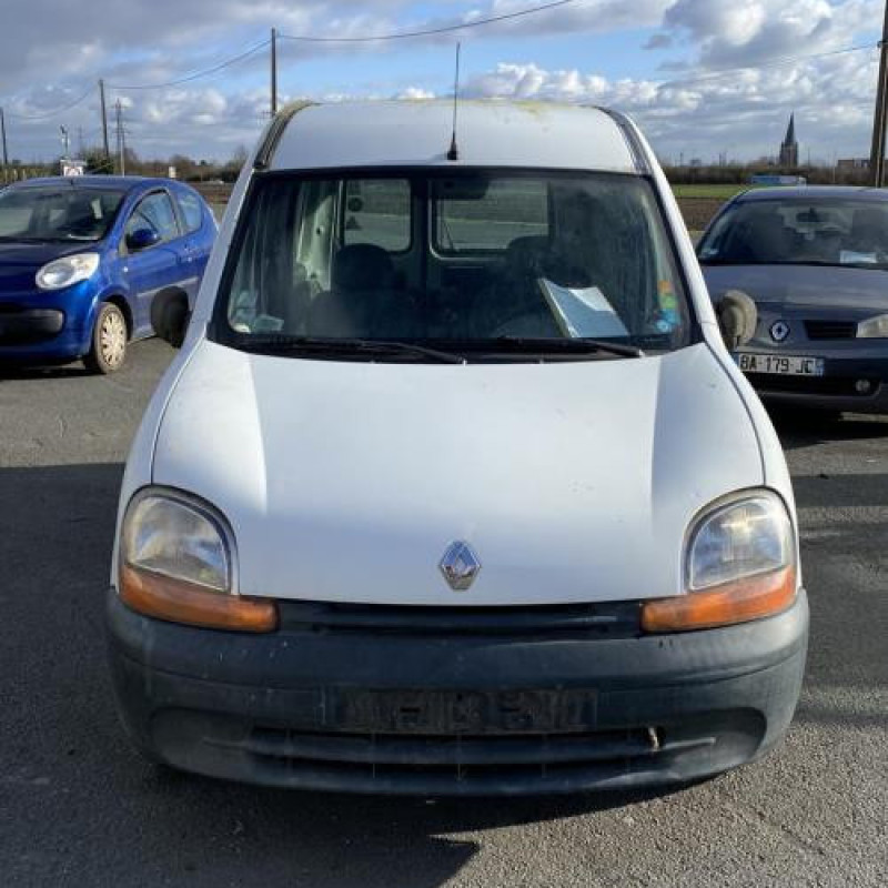 Porte de coffre gauche RENAULT KANGOO 1 Photo n°8